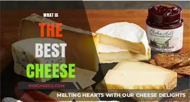 Discovering the Perfect Cheese: A Journey Through Flavors and Textures