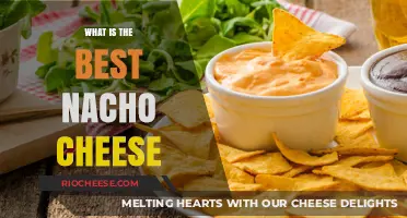 The Ultimate Guide to Choosing the Perfect Nacho Cheese