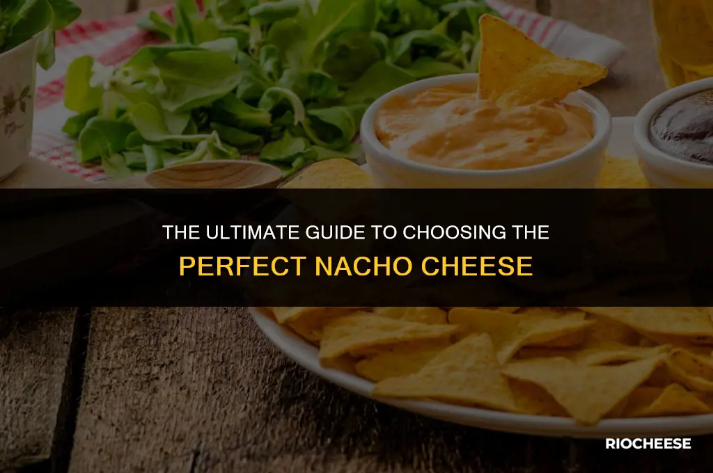 what is the best nacho cheese