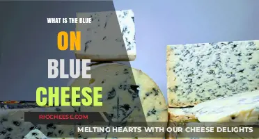 Unveiling the Mystery: What Gives Blue Cheese Its Signature Hue?