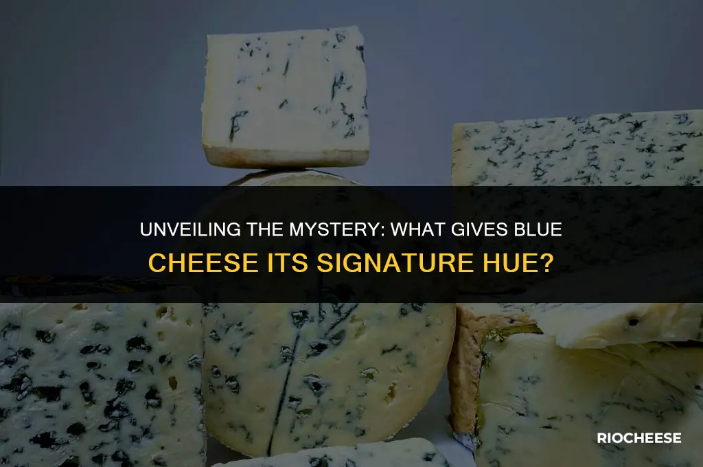 what is the blue on blue cheese
