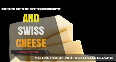 Exploring the Distinct Flavors: American vs Swiss Cheese