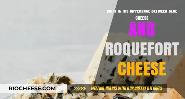 Exploring the Distinct Flavors: Blue Cheese vs. Roquefort