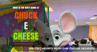 Unveiling the Canine Mascot's Moniker at Chuck E. Cheese