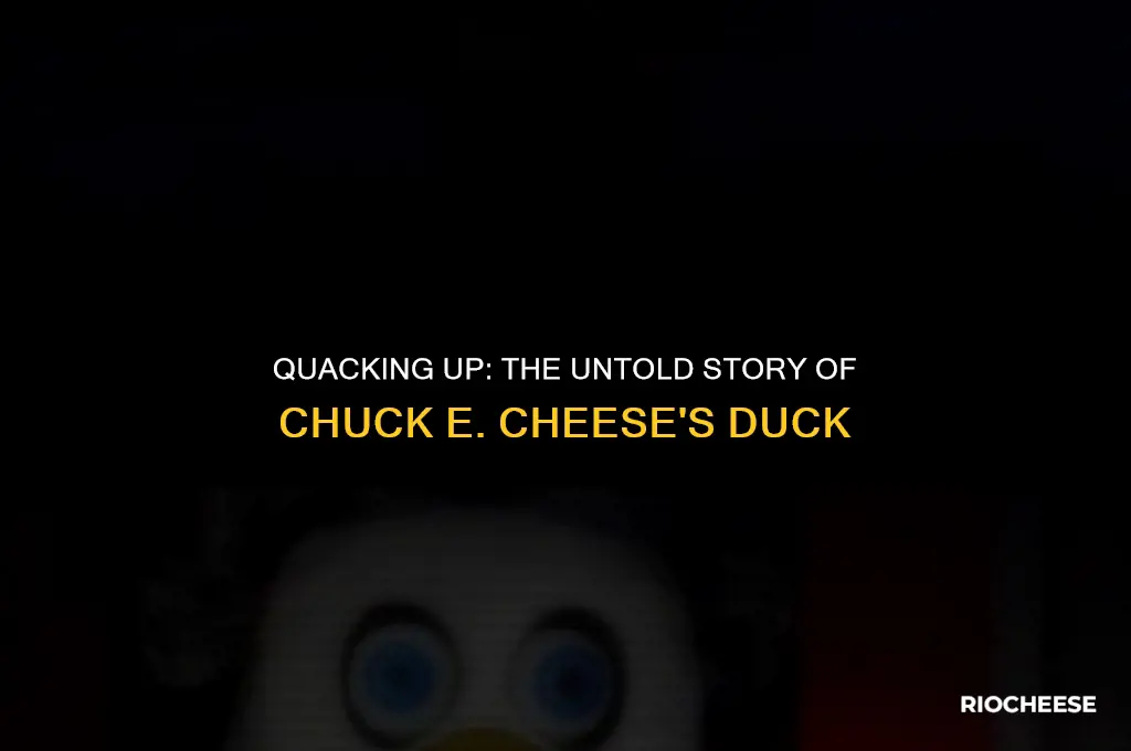what is the duck