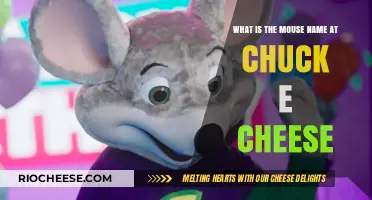 Unveiling the Iconic Chuck E. Cheese Mouse Mascot's Name