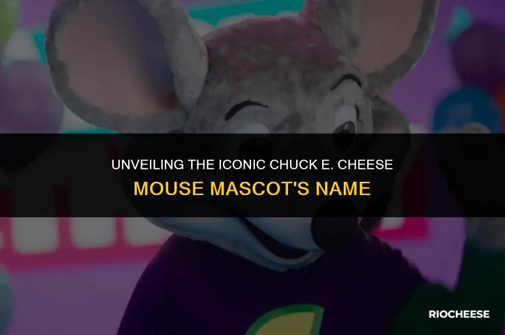 what is the mouse name at chuck e cheese
