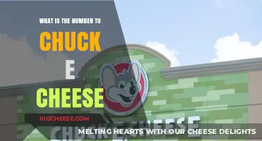 Dialing Up Fun: Your Guide to Chuck E. Cheese's Contact Info