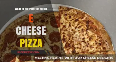 Savoring Fun: The Cost of Chuck E. Cheese's Pizza Delight