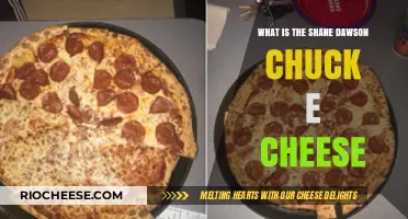 Unraveling the Mystery: Shane Dawson and the Chuck E. Cheese Connection