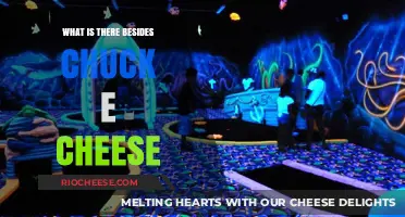 Beyond Chuck E. Cheese: Exploring Family Entertainment Alternatives
