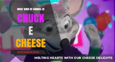 Unveiling the Mystery: What Kind of Animal is Chuck E. Cheese?