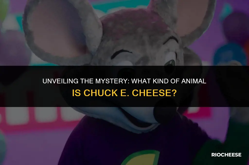 what kind of animal is chuck e cheese