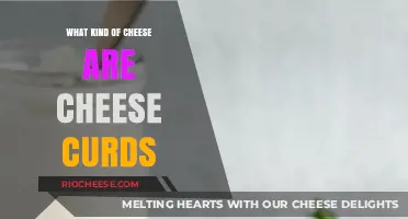 From Whey to Wow: The Cheesy Journey of Cheese Curds