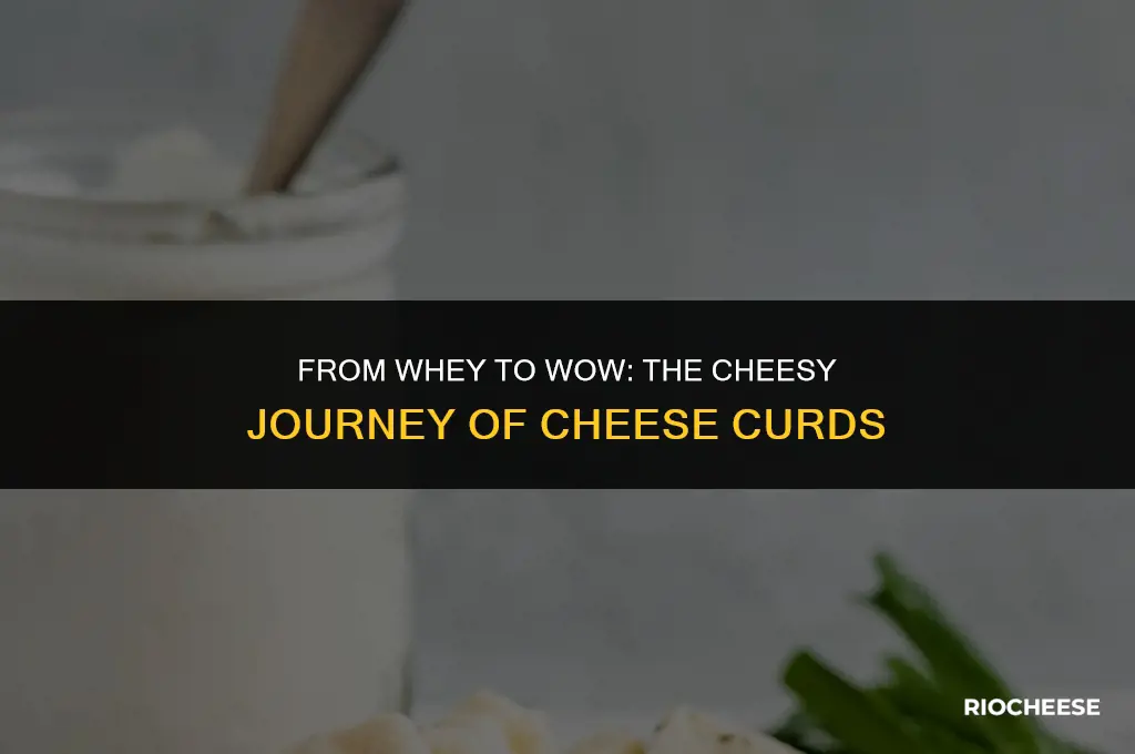 what kind of cheese are cheese curds