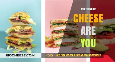 Discover Your Cheesy Personality: A Fun Guide to Matching Your Mood with the Perfect Cheese