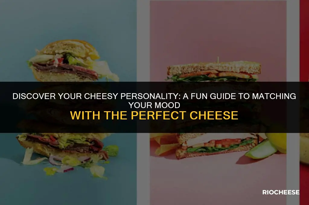 what kind of cheese are you