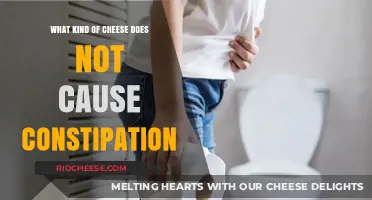 Digestive Harmony: Cheeses That Won't Cause Constipation