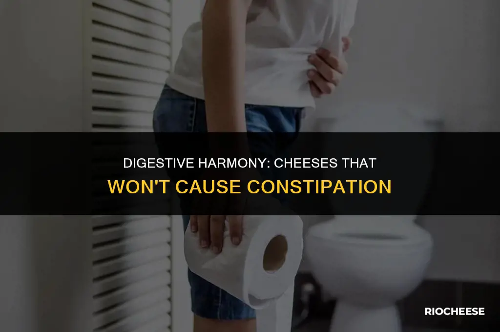 what kind of cheese does not cause constipation