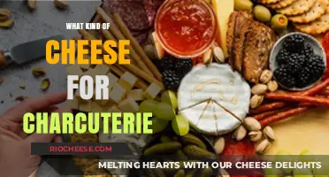Elevate Your Charcuterie: A Guide to Perfect Cheese Pairings