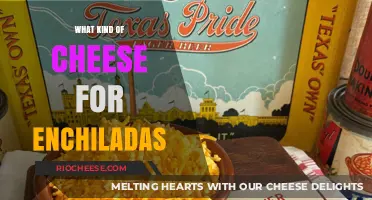Exploring the Perfect Cheese Blend for Your Enchiladas