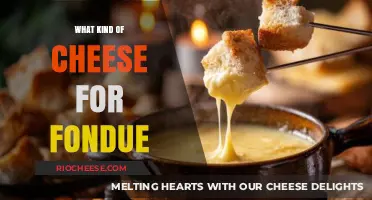 The Perfect Cheese Blend for Your Fondue Adventure