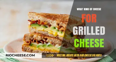 The Perfect Melt: Choosing the Best Cheese for Grilled Cheese