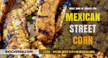 Elevate Your Mexican Street Corn with These Cheesy Delights!