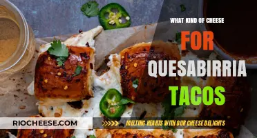 Elevate Your Quesabirria Tacos: A Cheese Lover's Guide