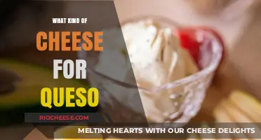 The Ultimate Guide to Choosing the Perfect Cheese for Queso