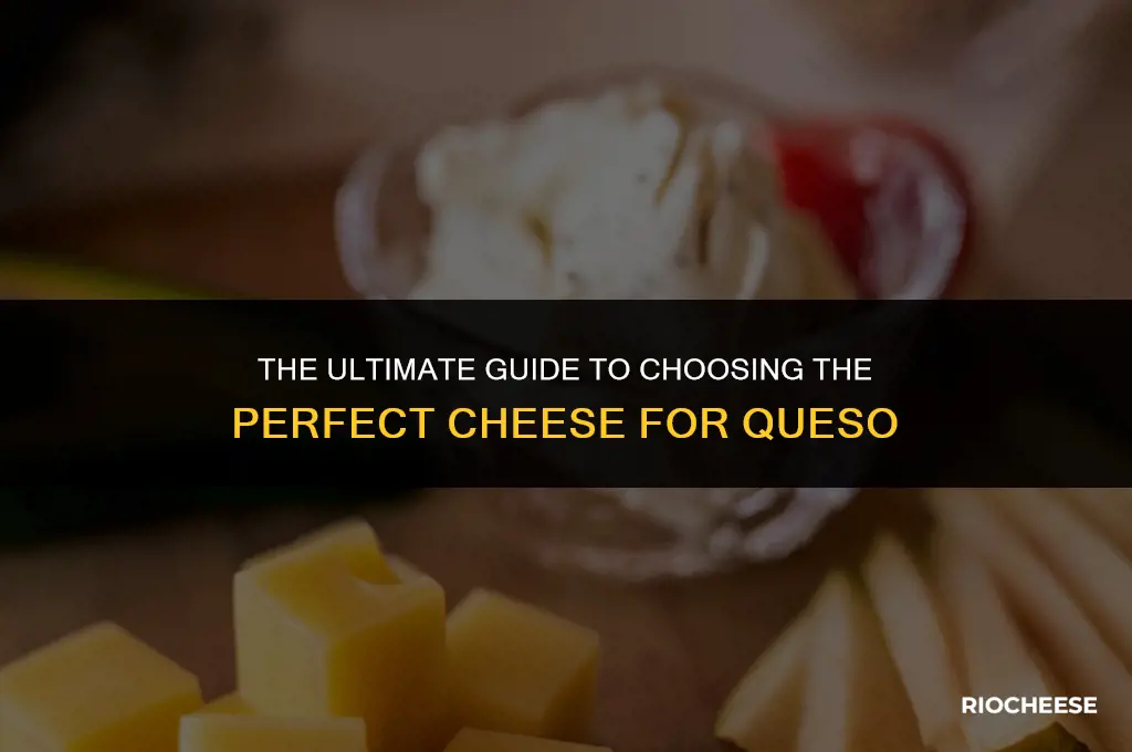 what kind of cheese for queso