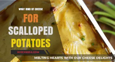Scalloped Potatoes Perfection: Which Cheese Reigns Supreme?
