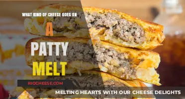 The Perfect Patty Melt: A Cheesy Guide to Bliss
