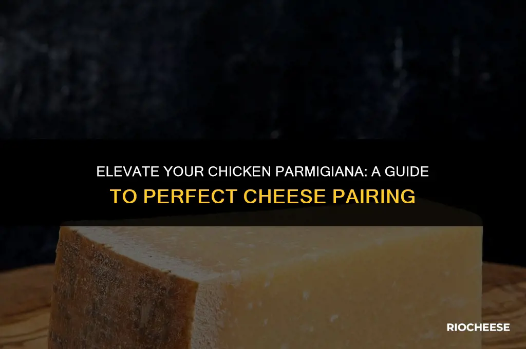 what kind of cheese goes on chicken parmigiana