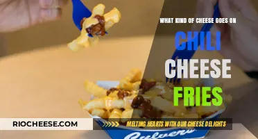 The Ultimate Guide to Perfect Chili Cheese Fries: Cheese Edition