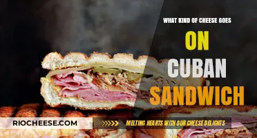 The Perfect Cuban: A Cheesy Guide to Sandwich Bliss