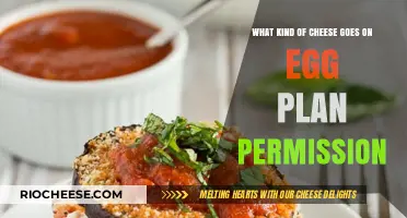 Egg-cellent Pairings: A Guide to Cheesy Eggplant Permissions