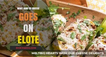 Exploring the Perfect Cheese Match for Your Elote: A Flavorful Journey
