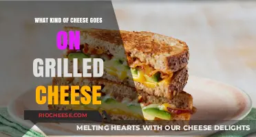 The Perfect Match: Grilled Cheese's Cheesy Companions