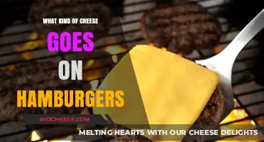 The Perfect Match: Which Cheese Elevates Your Hamburger Game?