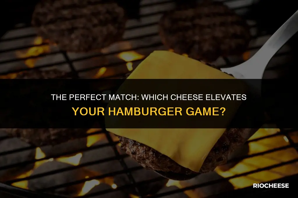 what kind of cheese goes on hamburgers