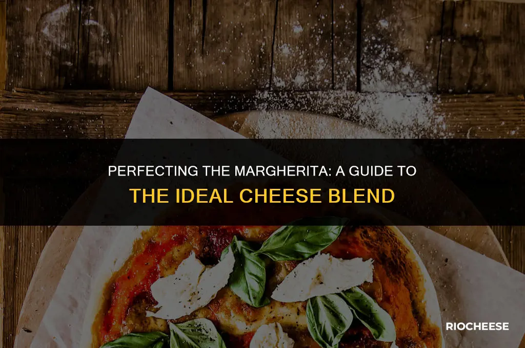 what kind of cheese goes on margherita pizza