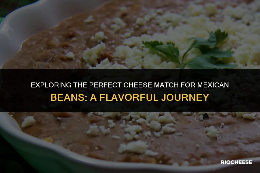 what kind of cheese goes on mexican beans