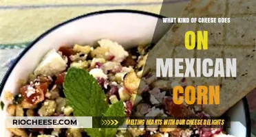 Exploring the Perfect Cheese Match for Mexican Street Corn