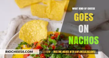 Nacho Cheese Nirvana: A Guide to the Perfect Topping