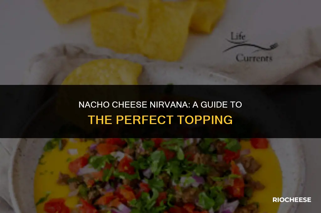 what kind of cheese goes on nachos