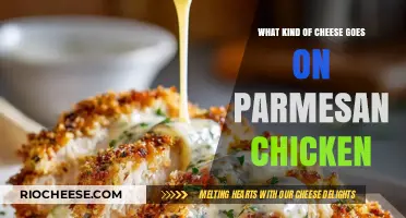 Parmesan Chicken Perfection: A Guide to the Ideal Cheese Blend