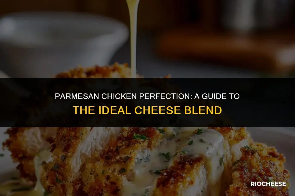 what kind of cheese goes on parmesan chicken