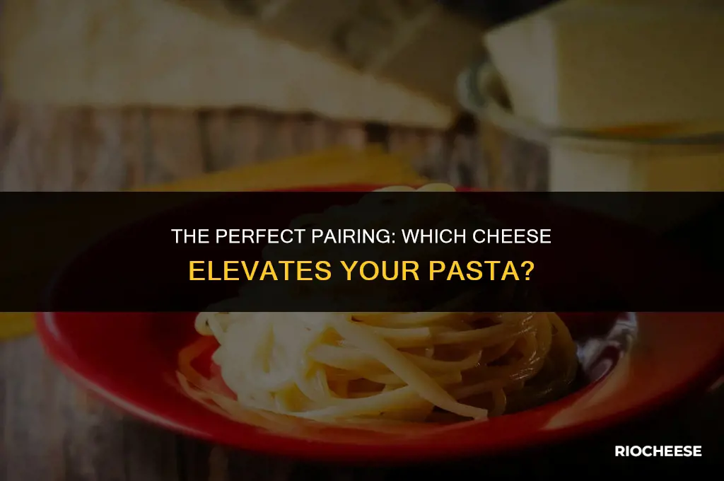 what kind of cheese goes on pasta