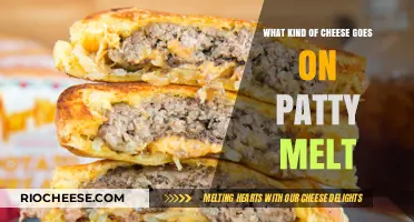 The Perfect Patty Melt: A Cheesy Guide to Bliss